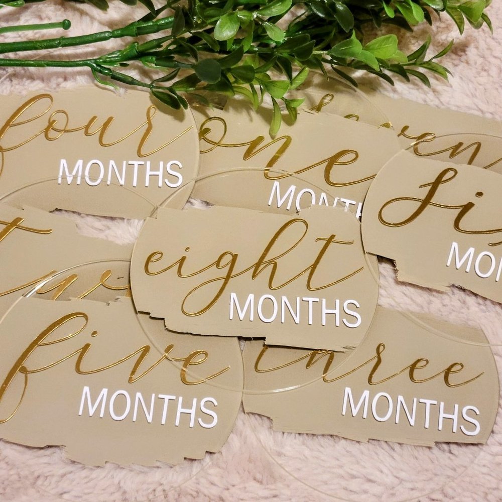 Monthly Baby Milestone Discs